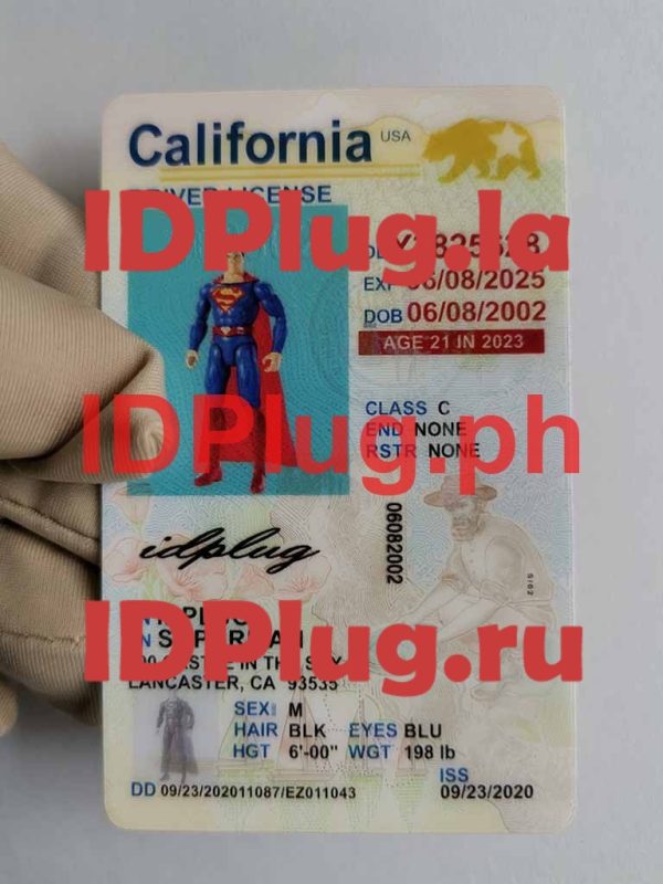 CALIFORINA fake id